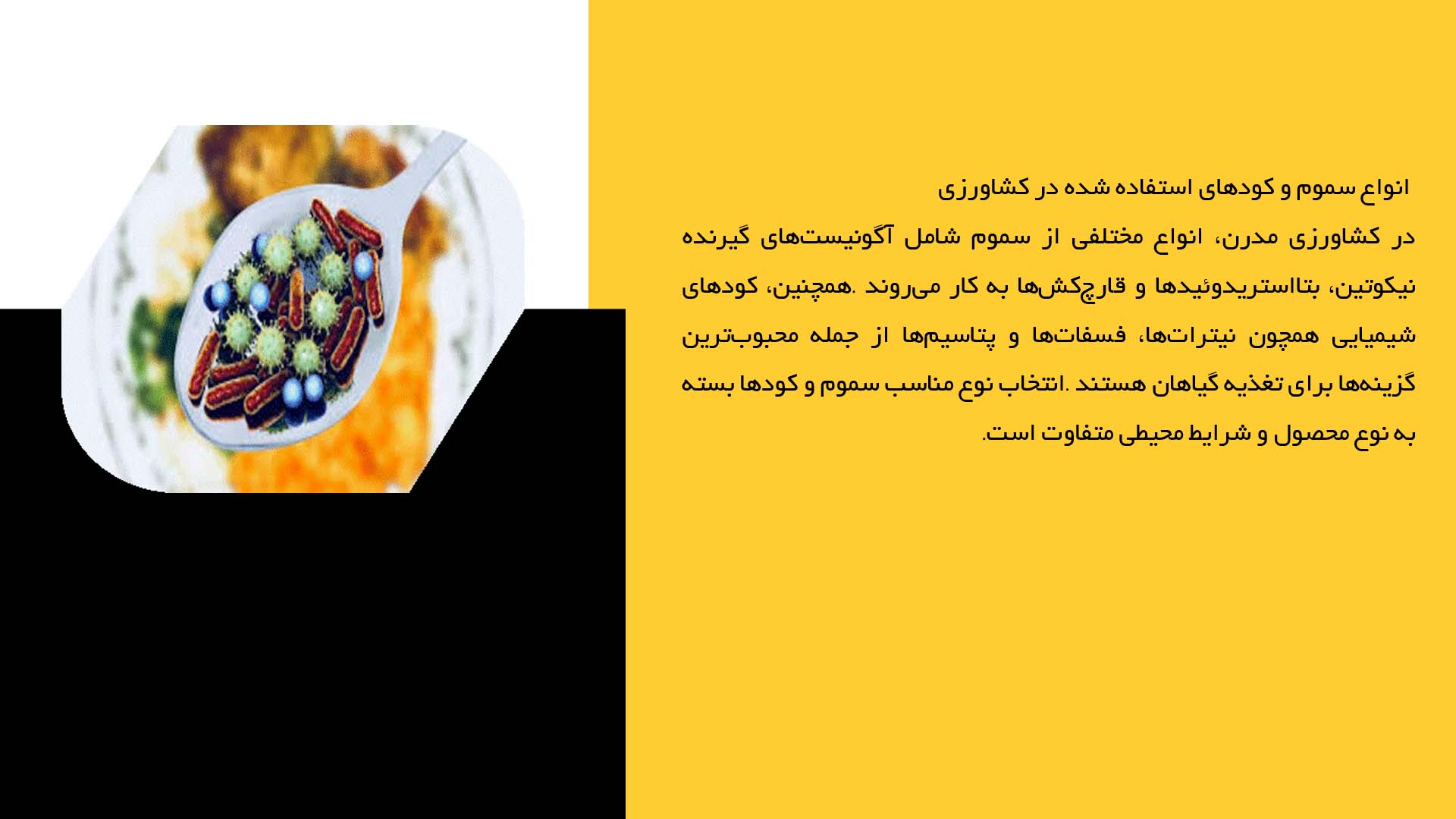 پاورپوینت در مورد تاثیر سموم و کودها در مسمومیت غذایی